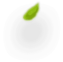 leaf shape
