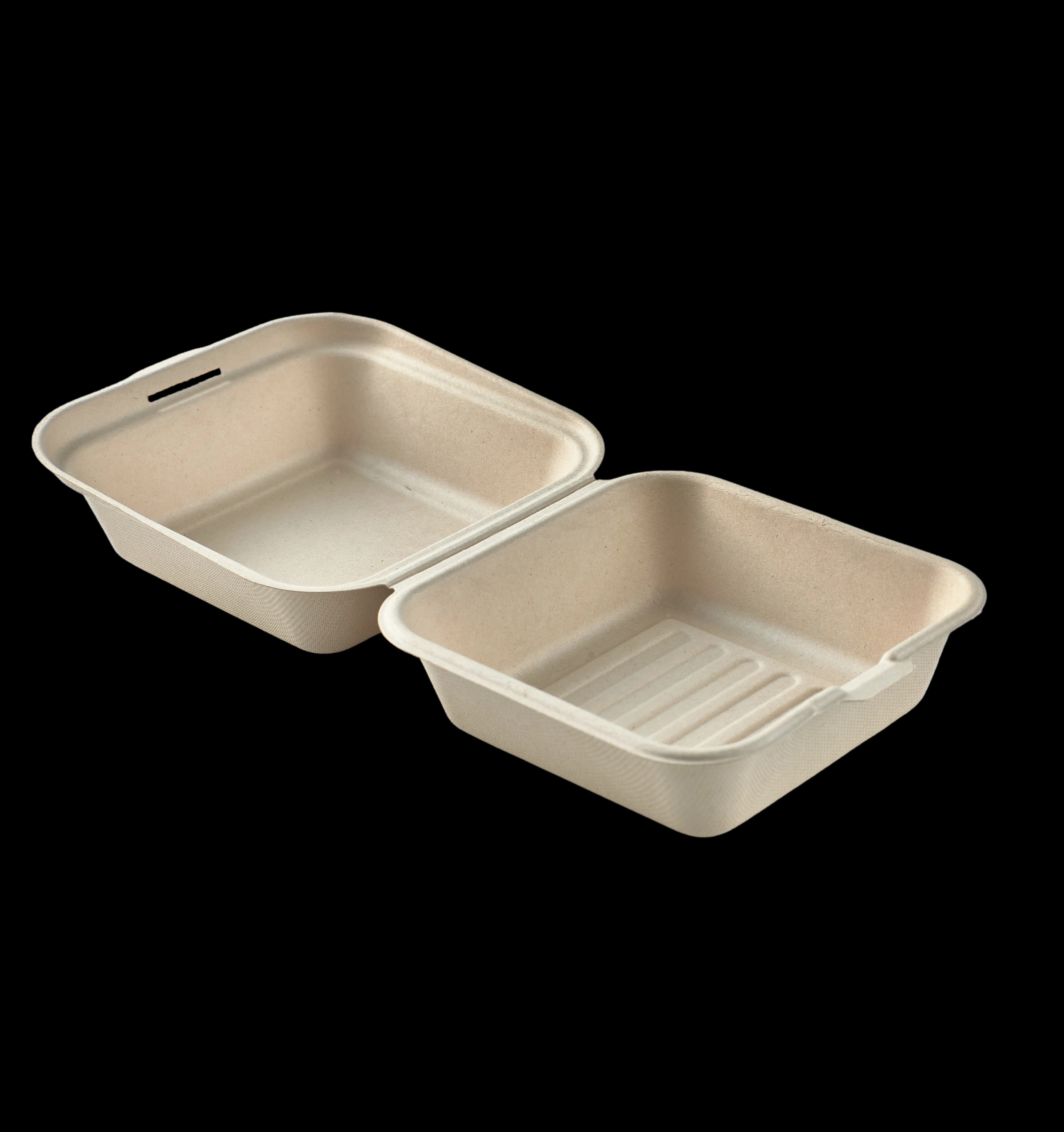 Burger Box — eco-friendly packaging for food in the Philippines