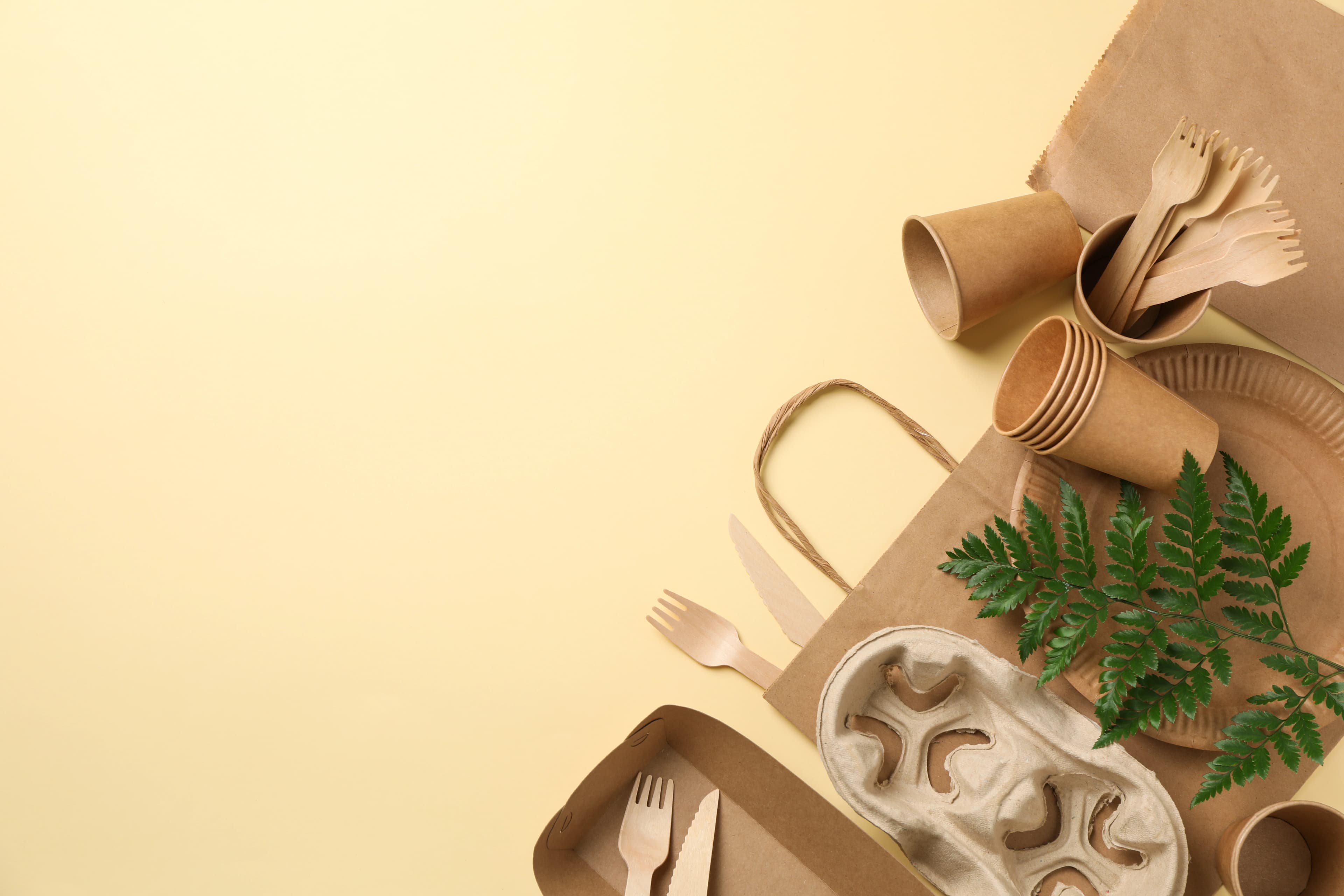Eco food packaging in the Philippines — sustainable assortment